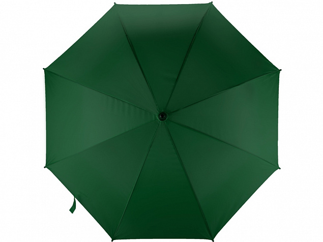 Зонт-трость Радуга, зеленый с логотипом в Самаре заказать по выгодной цене в кибермаркете AvroraStore