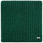 Шарф Tommi, зеленый с логотипом в Самаре заказать по выгодной цене в кибермаркете AvroraStore