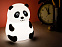 Светильник LED Panda с логотипом в Самаре заказать по выгодной цене в кибермаркете AvroraStore