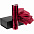Набор Gems: зонт и термос, красный с логотипом в Самаре заказать по выгодной цене в кибермаркете AvroraStore