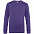 Свитшот унисекс King, фиолетовый с логотипом в Самаре заказать по выгодной цене в кибермаркете AvroraStore