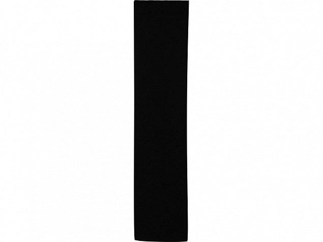 Шарф Dunant, черный с логотипом в Самаре заказать по выгодной цене в кибермаркете AvroraStore