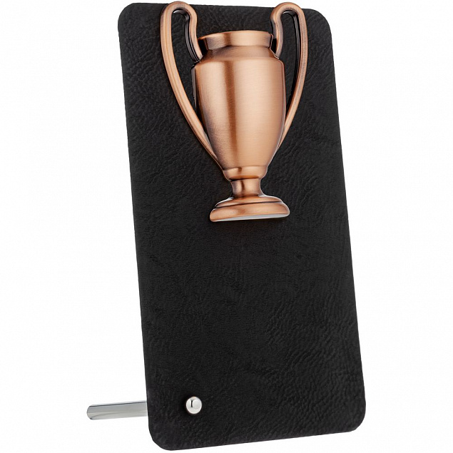 Награда Triumph Bronze с логотипом в Самаре заказать по выгодной цене в кибермаркете AvroraStore