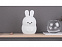Ночник LED Rabbit с логотипом в Самаре заказать по выгодной цене в кибермаркете AvroraStore