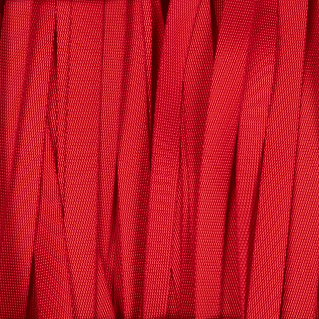 Стропа текстильная Fune 10 S, красная, 50 см с логотипом в Самаре заказать по выгодной цене в кибермаркете AvroraStore