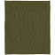 Плед Shirr, зеленый (оливковый) с логотипом в Самаре заказать по выгодной цене в кибермаркете AvroraStore