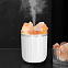 Увлажнитель-ароматизатор с кристаллами соли Crystal Fog с логотипом в Самаре заказать по выгодной цене в кибермаркете AvroraStore