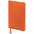 Ежедневник Shall Light, недатированный, оранжевый с логотипом в Самаре заказать по выгодной цене в кибермаркете AvroraStore