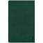 Ежедневник Grade, недатированный, зеленый с логотипом в Самаре заказать по выгодной цене в кибермаркете AvroraStore
