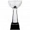 Кубок Cupture, малый с логотипом в Самаре заказать по выгодной цене в кибермаркете AvroraStore