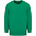 Свитшот детский Columbia Kids, ярко-зеленый с логотипом в Самаре заказать по выгодной цене в кибермаркете AvroraStore