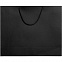 Пакет Ample L, черный с логотипом в Самаре заказать по выгодной цене в кибермаркете AvroraStore