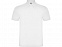 Рубашка поло Austral мужская, белый с логотипом в Самаре заказать по выгодной цене в кибермаркете AvroraStore