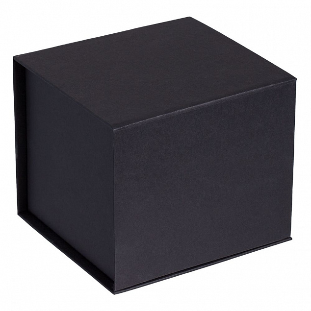 Коробка Alian, черная с логотипом в Самаре заказать по выгодной цене в кибермаркете AvroraStore