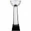 Кубок Cupture, большой с логотипом в Самаре заказать по выгодной цене в кибермаркете AvroraStore