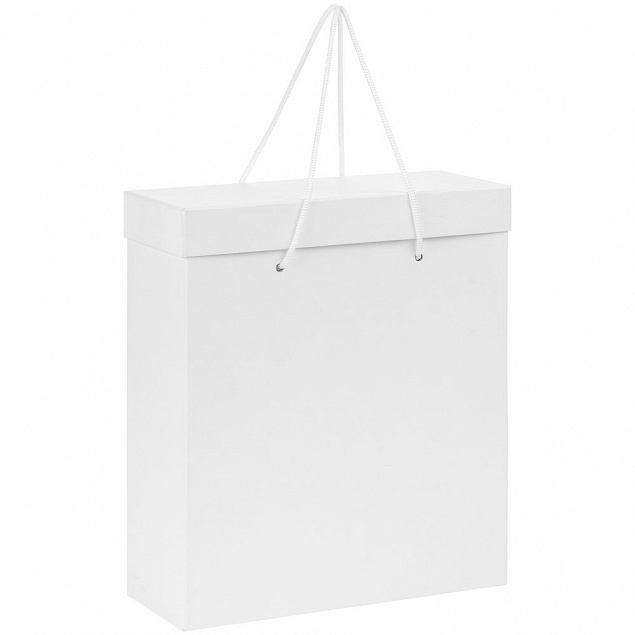 Коробка Handgrip, большая, белая с логотипом в Самаре заказать по выгодной цене в кибермаркете AvroraStore