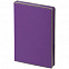 Ежедневник Frame, недатированный, фиолетовый с серым с логотипом в Самаре заказать по выгодной цене в кибермаркете AvroraStore