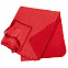 Плед для пикника Soft & Dry, темно-красный с логотипом в Самаре заказать по выгодной цене в кибермаркете AvroraStore