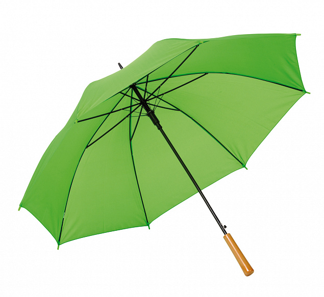 Автоматический зонт LIMBO, светло-зеленый с логотипом в Самаре заказать по выгодной цене в кибермаркете AvroraStore