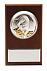 Плакетка малая «Тигр на монетах» с возможностью персонализации с логотипом в Самаре заказать по выгодной цене в кибермаркете AvroraStore