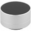 Беспроводная Bluetooth колонка Easy, серебристая с логотипом в Самаре заказать по выгодной цене в кибермаркете AvroraStore