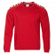 Толстовка унисекс 53 Красный с логотипом в Самаре заказать по выгодной цене в кибермаркете AvroraStore