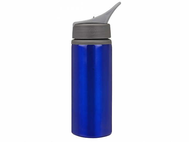 Бутылка для воды «Rino» с логотипом в Самаре заказать по выгодной цене в кибермаркете AvroraStore