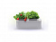 Компактный смарт-сад iGarden с логотипом в Самаре заказать по выгодной цене в кибермаркете AvroraStore