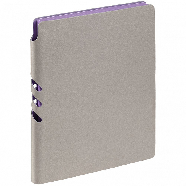 Набор Flexpen Energy, серебристо-фиолетовый с логотипом в Самаре заказать по выгодной цене в кибермаркете AvroraStore