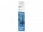 Растущий карандаш с семенами Ель голубая с логотипом в Самаре заказать по выгодной цене в кибермаркете AvroraStore