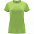 Футболка CAPRI женская, VENTURE GREEN L с логотипом в Самаре заказать по выгодной цене в кибермаркете AvroraStore