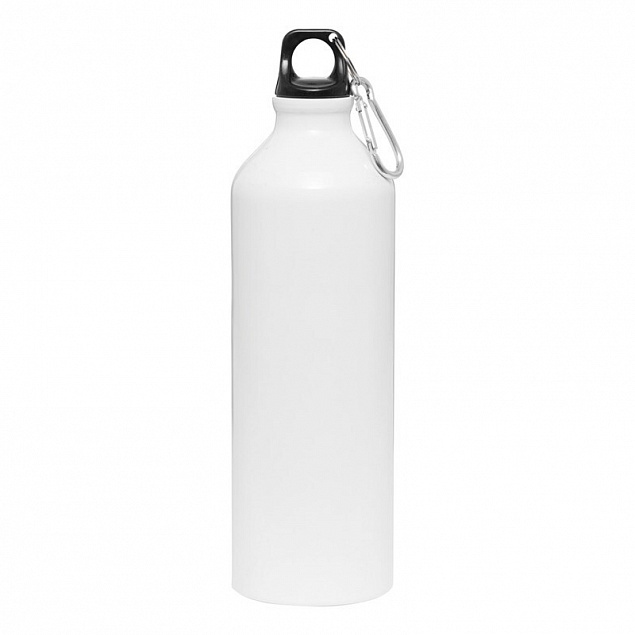 Алюминиевая бутылка BIG TRANSIT с логотипом в Самаре заказать по выгодной цене в кибермаркете AvroraStore