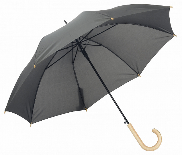 Автоматический зонт-трость LIPSI с логотипом в Самаре заказать по выгодной цене в кибермаркете AvroraStore