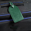 Бирка багажная Nebraska, зеленая с логотипом в Самаре заказать по выгодной цене в кибермаркете AvroraStore
