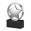 Статуэтка наградная "Звезда" с логотипом в Самаре заказать по выгодной цене в кибермаркете AvroraStore