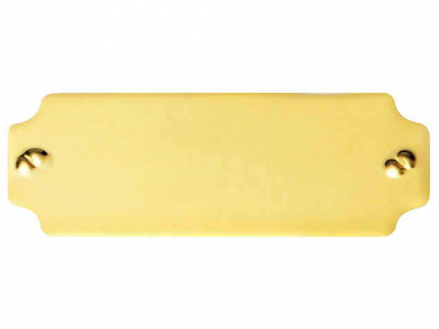 Шильд золотистый с логотипом в Самаре заказать по выгодной цене в кибермаркете AvroraStore