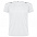 Спортивная футболка SEPANG мужская, ЛАЙМОВЫЙ 2XL с логотипом в Самаре заказать по выгодной цене в кибермаркете AvroraStore