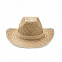 Ковбойская шляпа из натуральной с логотипом в Самаре заказать по выгодной цене в кибермаркете AvroraStore