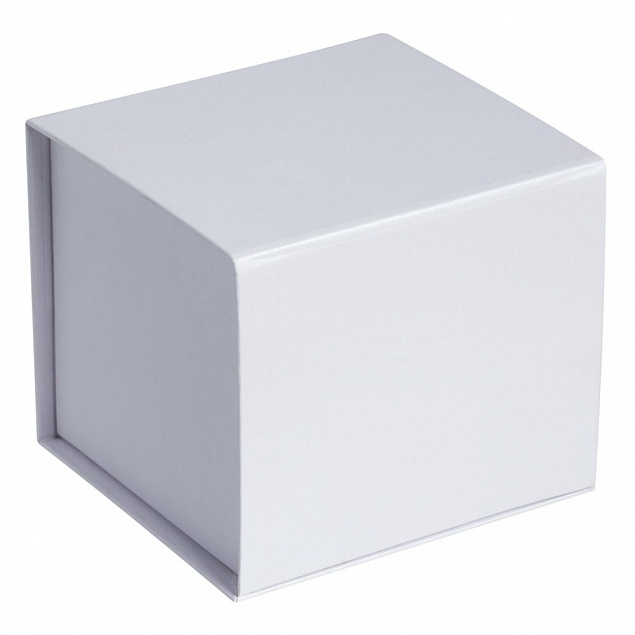 Коробка Alian, белая с логотипом в Самаре заказать по выгодной цене в кибермаркете AvroraStore