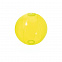 Пляжный мяч Nemon с логотипом в Самаре заказать по выгодной цене в кибермаркете AvroraStore