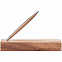 Шариковая ручка Cambiano Shiny Chrome Walnut с логотипом в Самаре заказать по выгодной цене в кибермаркете AvroraStore