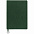 Ежедневник Lafite, недатированный, зеленый с логотипом в Самаре заказать по выгодной цене в кибермаркете AvroraStore
