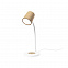 Многофункциональная лампа Borstein с логотипом в Самаре заказать по выгодной цене в кибермаркете AvroraStore