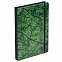Ежедневник Evergreen, недатированный с логотипом в Самаре заказать по выгодной цене в кибермаркете AvroraStore