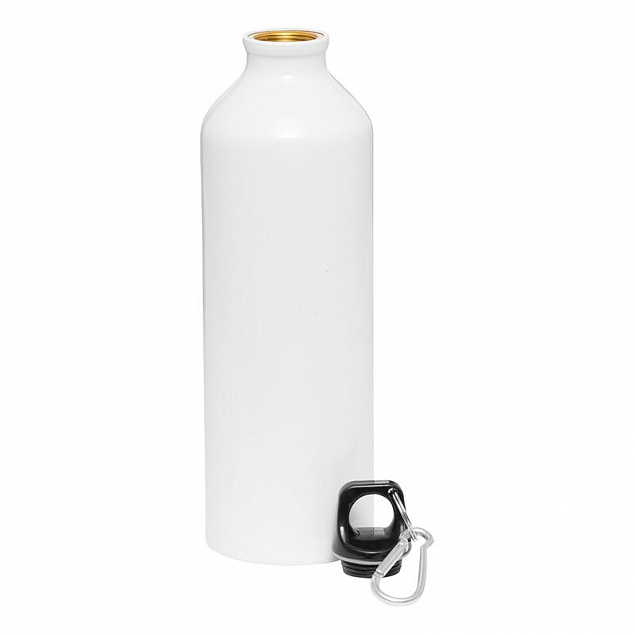 Алюминиевая бутылка BIG TRANSIT с логотипом в Самаре заказать по выгодной цене в кибермаркете AvroraStore