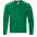 Толстовка StanSweatshirt Зелёный с логотипом в Самаре заказать по выгодной цене в кибермаркете AvroraStore