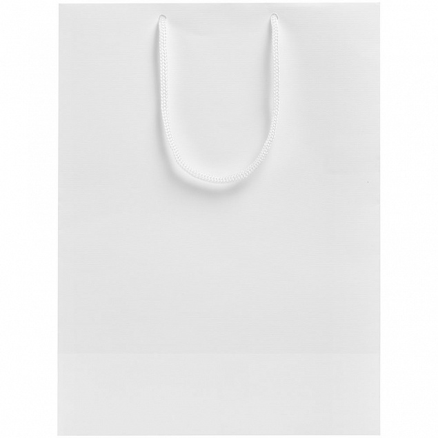 Пакет «Крафт», белый, M с логотипом в Самаре заказать по выгодной цене в кибермаркете AvroraStore