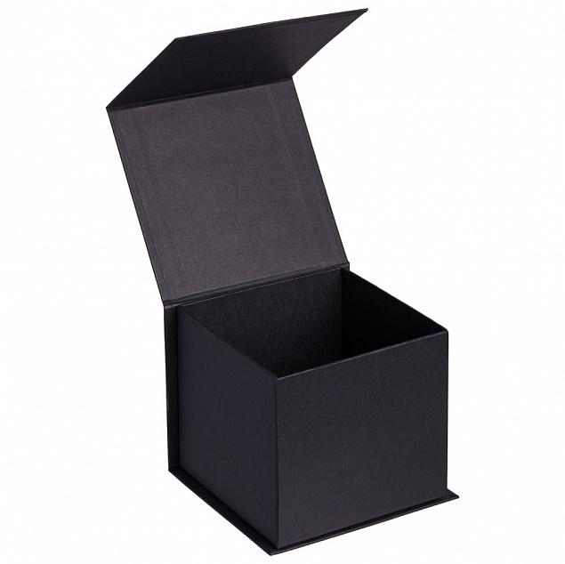 Коробка Alian, черная с логотипом в Самаре заказать по выгодной цене в кибермаркете AvroraStore