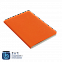 Ежедневник Bplanner.01 orange (оранжевый) с логотипом в Самаре заказать по выгодной цене в кибермаркете AvroraStore