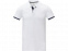 Morgan Двухцветное мужское поло с коротким рукавом , белый с логотипом в Самаре заказать по выгодной цене в кибермаркете AvroraStore